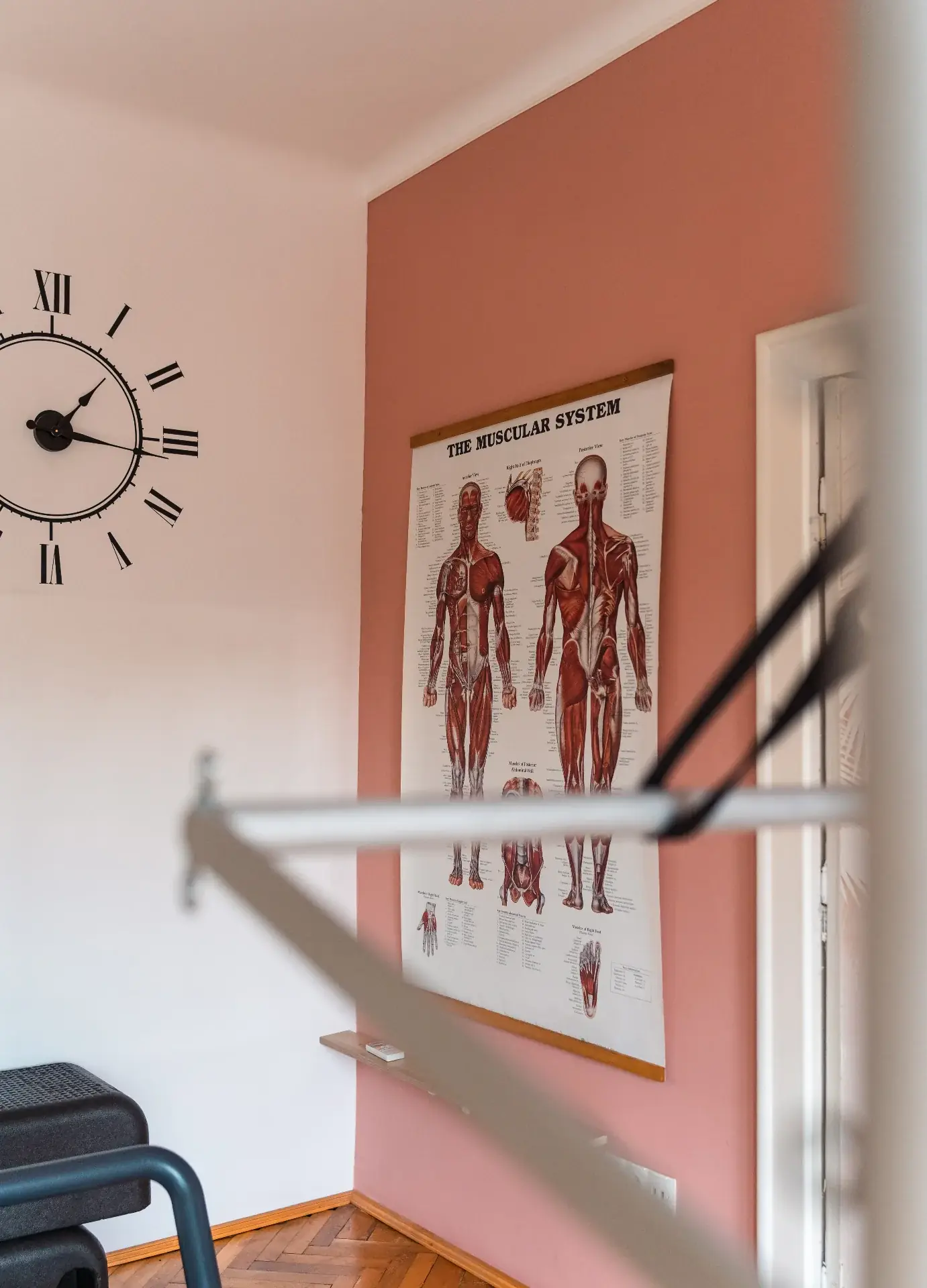 Detaliu interior studio Republicii cu planșă anatomică